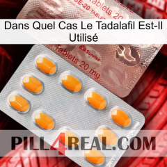 Dans Quel Cas Le Tadalafil Est-Il Utilisé new13
